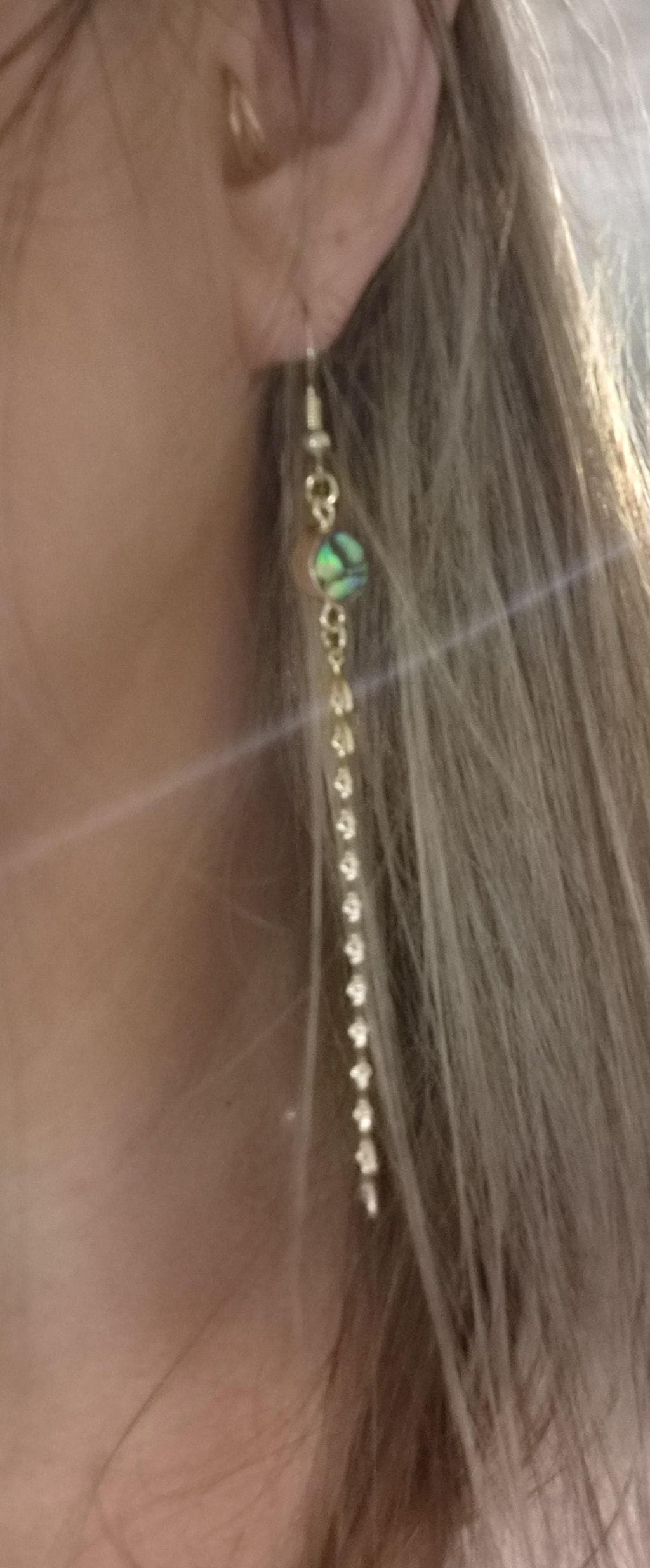 Abalone Shell Dangle Earrings